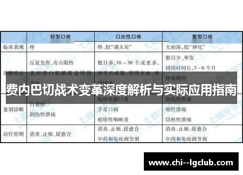 费内巴切战术变革深度解析与实际应用指南