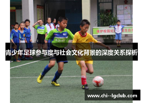 青少年足球参与度与社会文化背景的深度关系探析 青少年足球参与度与社会文化背景的深度关系探析