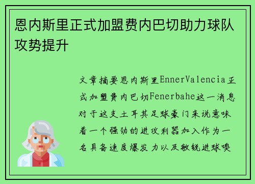 恩内斯里正式加盟费内巴切助力球队攻势提升